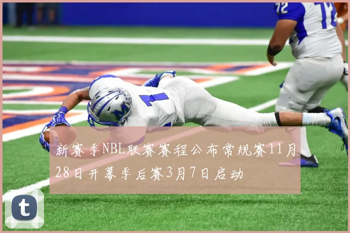 新赛季NBL联赛赛程公布常规赛11月28日开幕季后赛3月7日启动