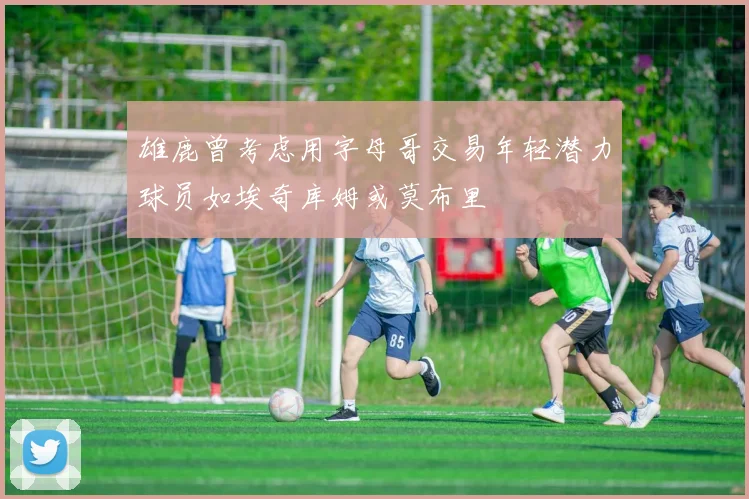雄鹿曾考虑用字母哥交易年轻潜力球员如埃奇库姆或莫布里